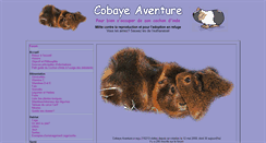 Desktop Screenshot of cobayeaventure.fr
