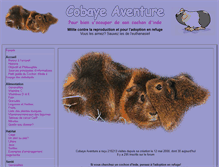 Tablet Screenshot of cobayeaventure.fr